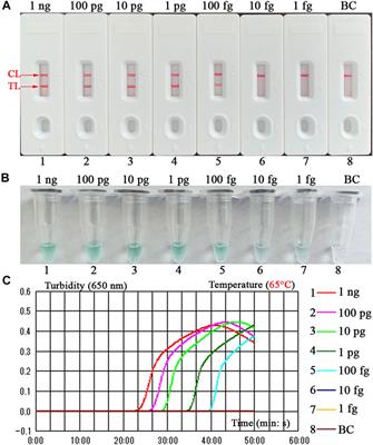 A Label-Based Polymer Nanoparticles Biosensor Combined with Loop-Mediated Isothermal Amplification for Rapid, Sensitive, and Highly Specific Identification of Brucella abortus